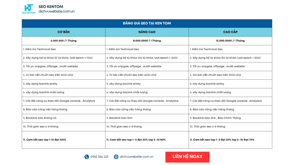 Blue and White Modern SEO Report Presentation 3