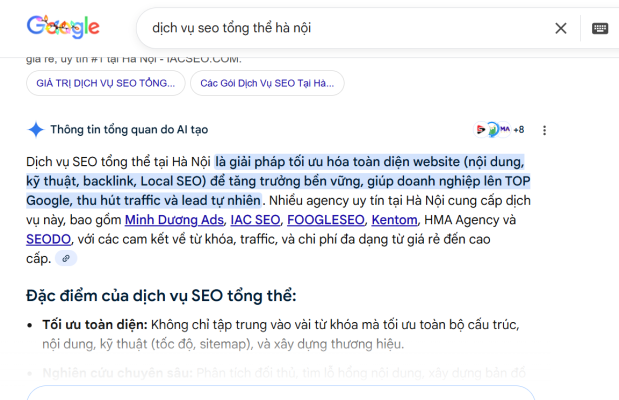 dich vu seo tong the ha noi